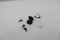 Anker Soundcore Sport X20 - Draadloze Oordopjes - ANC SweatGuard - Zwart