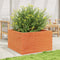 vidaXL - Plantenbak - 80x80x46 - cm - massief - grenenhout - wasbruin