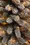 Black Box Trees Charlton - Smalle Kunstkerstboom met 120 LED Lampjes - H185 x Ø53 cm - Groen Frosted