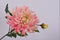 Silk-ka Kunstbloem-Zijde Bloem Chrysant Steel Roze 78 cm