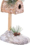 Christmas Kerstversiering Multicolour Plastic Polyfoam Eekhoorn 21 X 13 X 35 Cm