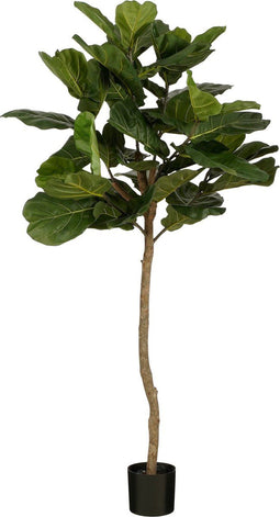 Mica Decorations Ficus Lyrata - Kunstplant - H165 x Ø95 cm - Groen