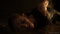 Playstation 4 - The Last of Us Part II