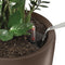 LECHUZA RONDO PREMIUM 40 - Plantenbak - met uitneembare binnenbak - met bewateringssysteem - ALL-IN-ONE set met LECHUZA-PON - taupe hoogglans