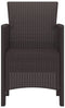 vidaXL - Tuinstoelen - 4 - stuks - Bruin - Poly - Rieten