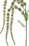 PTMD Twig Plant Amaranthus Kunsttak - 68 x 19 x 111 cm - Groen