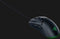 Razer Viper Mini - Draadloze gaming-muis - 8500 DPI - Razer Chroma RGB