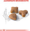 Royal Canin Sensible 33 - Kattenvoer - 4 kg
