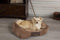 Scruffs Chester Box Bed - Hondenmand - Anti-slip onderzijde - M - Chocolade Bruin