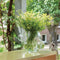 Weltevree | Local Habitat Terrarium | Terrarium Planten en Insecten | Ecosysteem Glazen Kom | Vaas