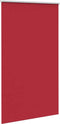 vidaXL - Rolgordijn - verduisterend - 120x210 - cm - stofbreedte - 116,6 - cm