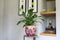 TS Collection - Bloempot Polly pink - 24x21 - Metaal & Epoxy - Exclusieve woonitems voor binnen - Handgemaakt - Unieke print - Designed by Lammie
