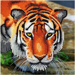Crystal Card kit diamond painting The Tiger 18 x 18 cm