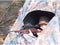 Berger & Schröter 30440 Pop-up tent Vouwt zichzelf uit Tarnzelt 116 cm x 116 cm x 193 cm 1 stuk(s)