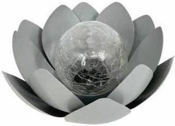 GALIX Zonnewaterlelie - 25 cm
