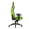 Gaming stoel Newskill NS-CH-OSIRIS-BLACK-GREEN