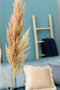Emerald Pampasgras pluim losse steel/tak - naturel - 92 cm - Decoratie kunst bloemen/graspluimen