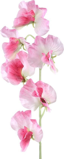 Garden Bloem Sweetpea Steel - PTMD - Roze