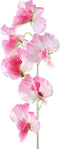 Garden Bloem Sweetpea Steel - PTMD - Roze