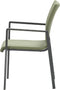 Garden Impressions - Dallas dining fauteuil carbon black/ moss green