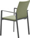 Garden Impressions - Dallas dining fauteuil carbon black/ moss green