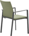 Garden Impressions - Dallas dining fauteuil carbon black/ moss green