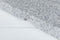 Garden Impressions - Hawaii S parasolvoet - 60 kilo - graniet - nature grey