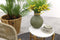 Garden Impressions Talara loungeset - 3-delig - acacia white wash - rope sand - sahara sand