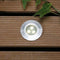 Garden Lights - 12V Alpha RVS LED wit licht