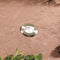 Garden Lights: Astrum Wit Grondspot 12 Volt - Zilvergrijs