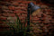 Garden Lights: Dax Buitenlamp 12 Volt - Zwart