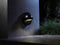Garden Lights: Deimos Wandlamp 12 Volt - Zwart