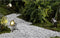 Garden Lights Garden Lights - Catalpa - Spot - 12 V - 190 Lm - 3 W - 3000 K