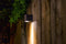 Garden Lights: Gilvus Plus Wandlamp 12 Volt - Zwart