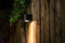Garden Lights: Gilvus Plus Wandlamp 12 Volt - Zwart