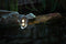 Garden Lights - Lapis - Spot - 12 V - 190 Lm - 3 W - 3000 K