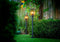 Garden Lights: Limosa 70 Buitenlamp 12 Volt - Zwart