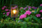 Garden Lights: Limosa 70 Buitenlamp 12 Volt - Zwart