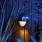 Garden Lights: Palm Wandlamp 12 Volt - Zilvergrijs