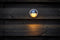 Garden Lights: Palm Wandlamp 12 Volt - Zilvergrijs