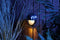 Garden Lights: Palm Wandlamp 12 Volt - Zilvergrijs