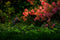 Garden Lights: Raf Tuinspot 12 Volt - Zwart