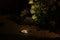 Garden Lights: Rubum Grondspot 12 Volt - Zwart