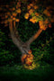 Garden Lights: Rubum Grondspot 12 Volt - Zwart