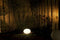 Garden Lights Sfeerlamp Oval 28 Cm Rgb-led 2w 12v Wit