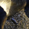 Garden Lights Tuinspot Minus
