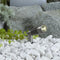 Garden Lights Tuinspot Minus