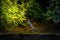 Garden Lights Tuinspot Minus