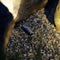 Garden Lights Tuinspot Minus