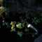 Garden Lights Tuinspot Minus
